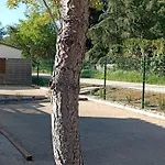 Camping Mobil Avec Terrasse Pour 6 Personnes A - Api-1-52-450 *