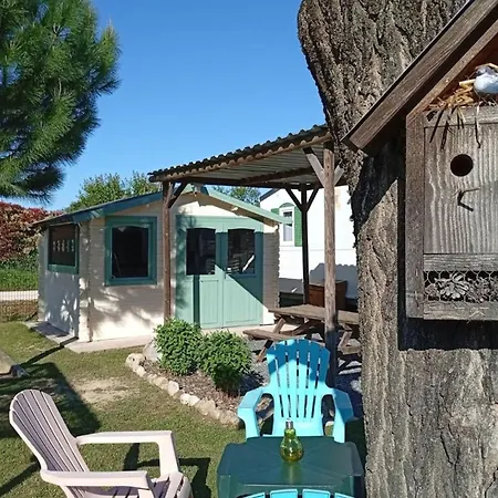 Mobil Avec Terrasse Pour 6 Personnes A - Api-1-52-450 *