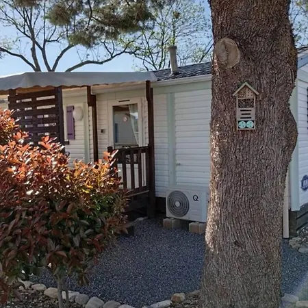 Mobil Avec Terrasse Pour 6 Personnes A - Api-1-52-450 キャンプ場 アンデューズ